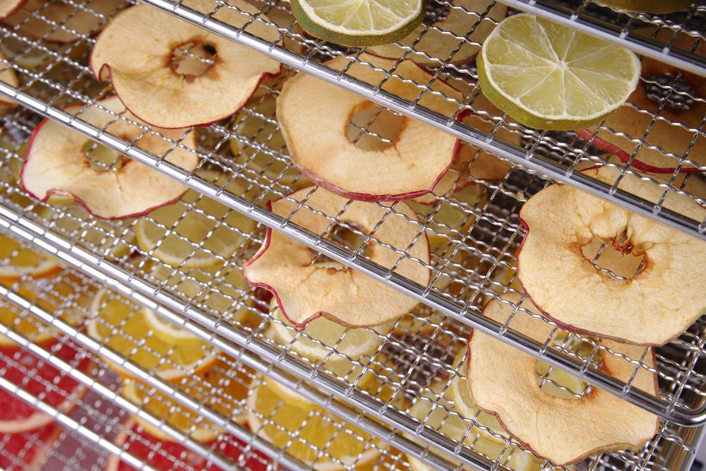 Dörrautomat Profi Line 10 Bleche    Profi Line  10 Bleche  230V/1000W  430x550x(H)416mm-ING11555 Dörrautomat Profi Line 10 Bleche    Profi Line  10 Bleche  230V/1000W  430x550x(H)416mm-ING11555