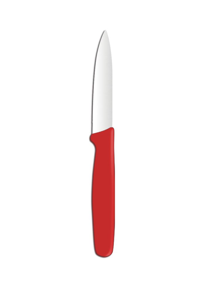Gemüsemesser spitz  Rot (L)192mm