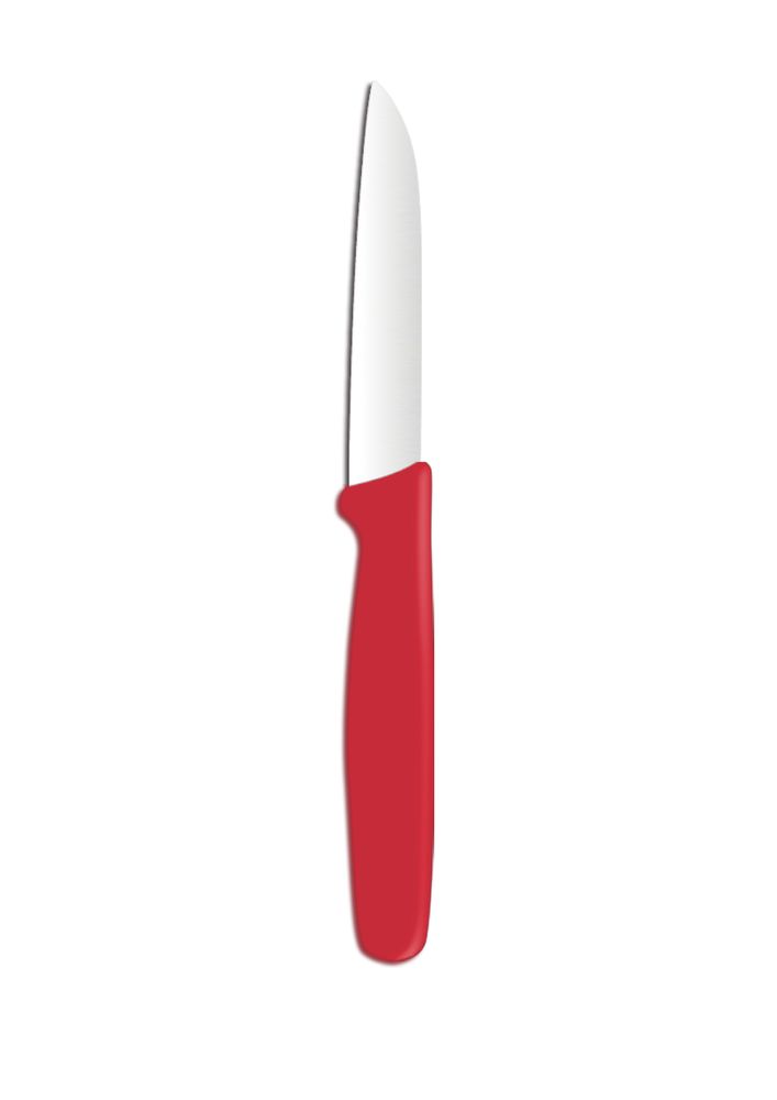Gemüsemesser  Rot (L)180mm
